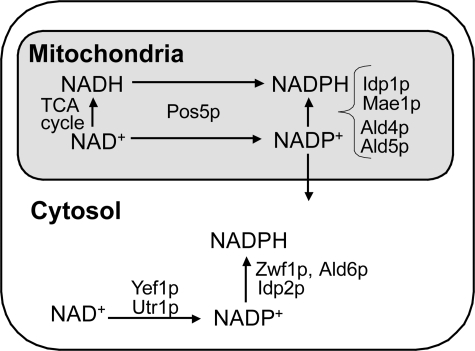 FIGURE 1.