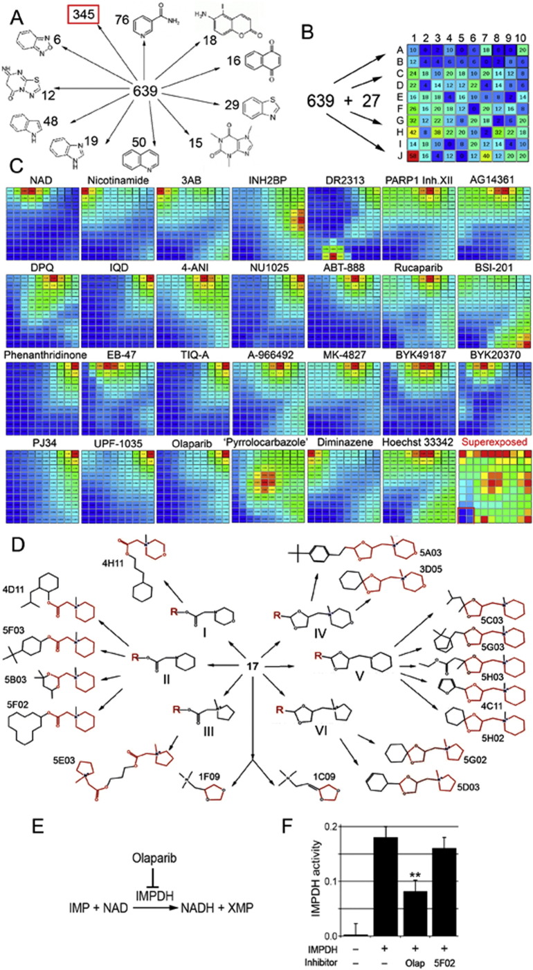 Fig. 2