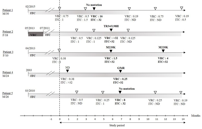 FIGURE 2