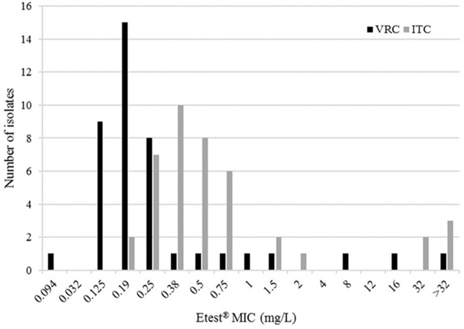 FIGURE 1