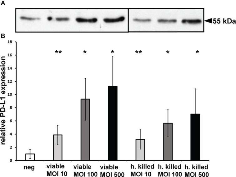 Figure 1