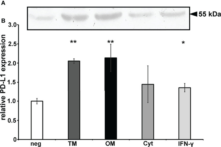 Figure 2