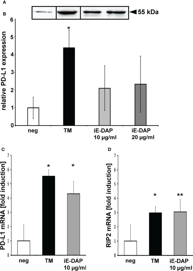 Figure 4