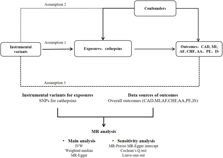 FIGURE 1