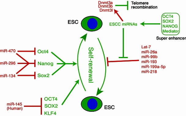 Figure 2