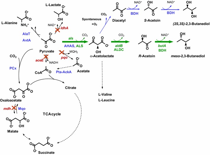 Fig. 1