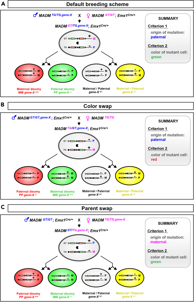 Figure 3