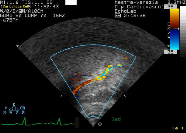 Figure 10