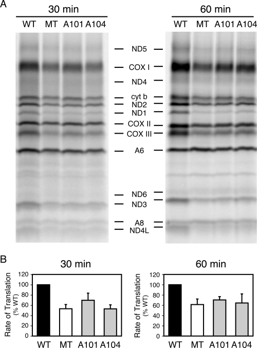 FIGURE 4.