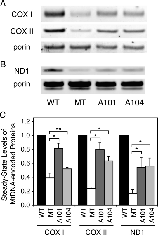 FIGURE 5.