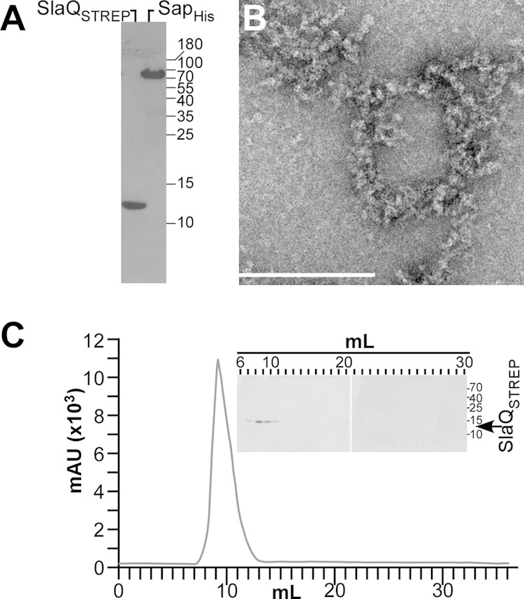 FIG 8