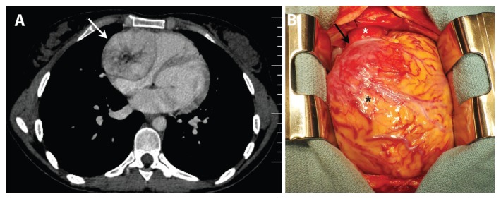 Figure 1:
