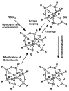 Scheme 3