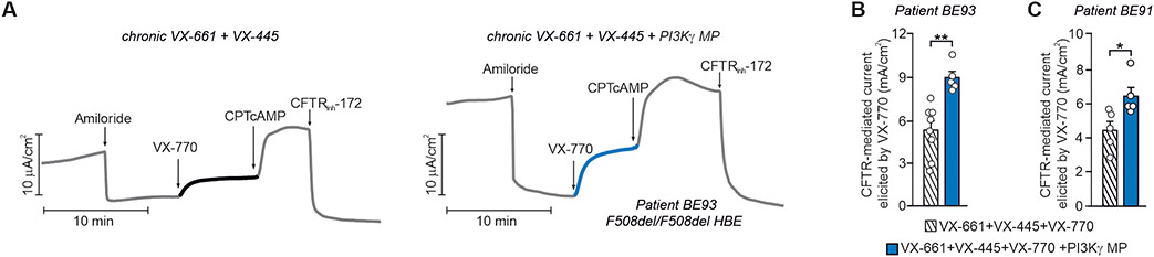 Fig. 8.