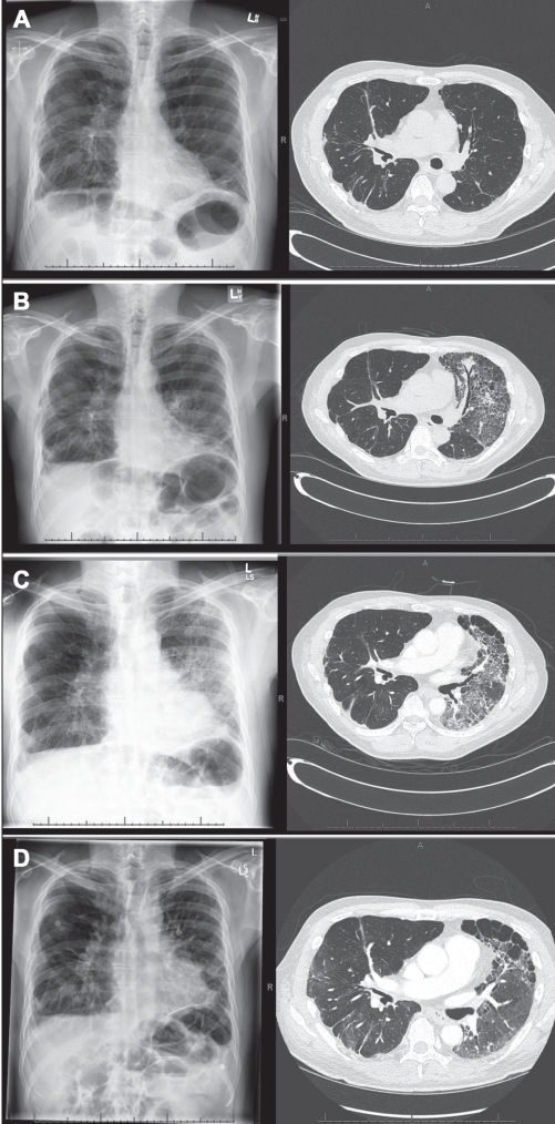 Figure 1)