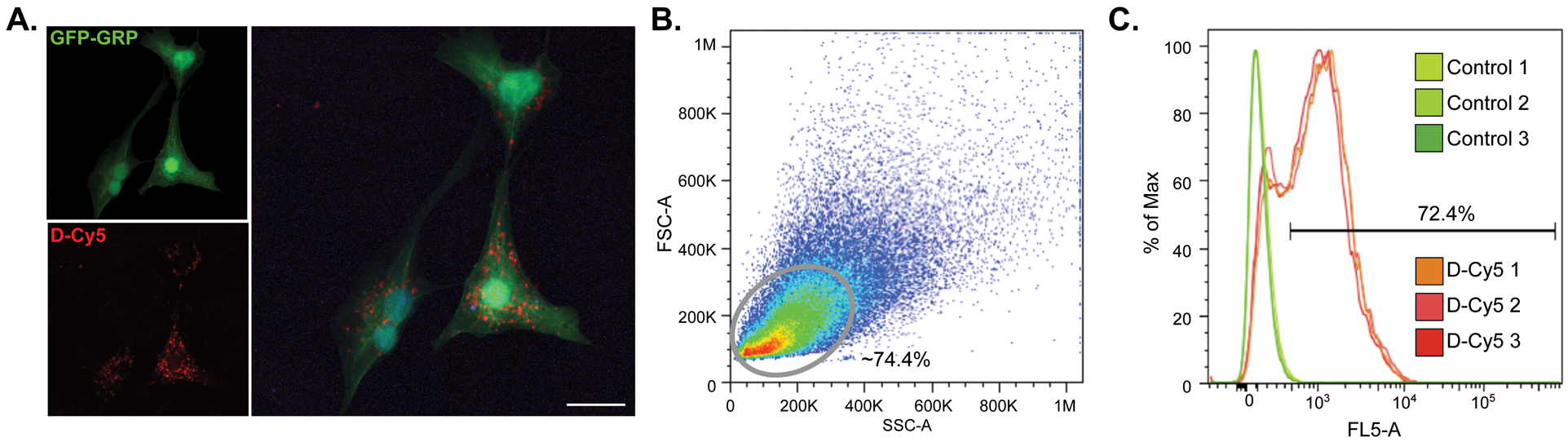 Figure 1: