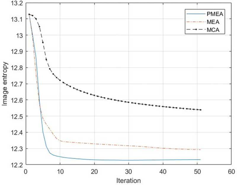 Fig 13