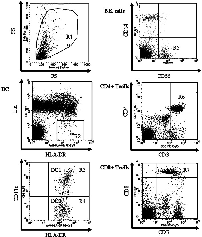 Fig. 1