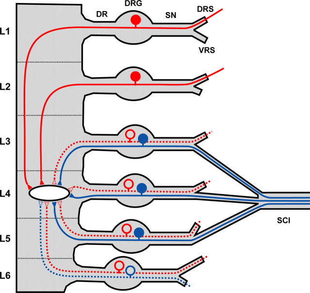 Figure 10.