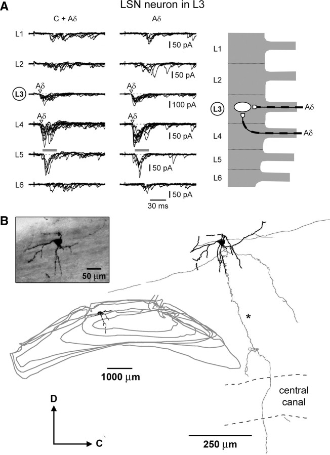 Figure 9.