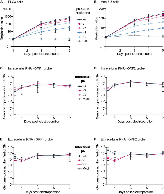 FIGURE 2