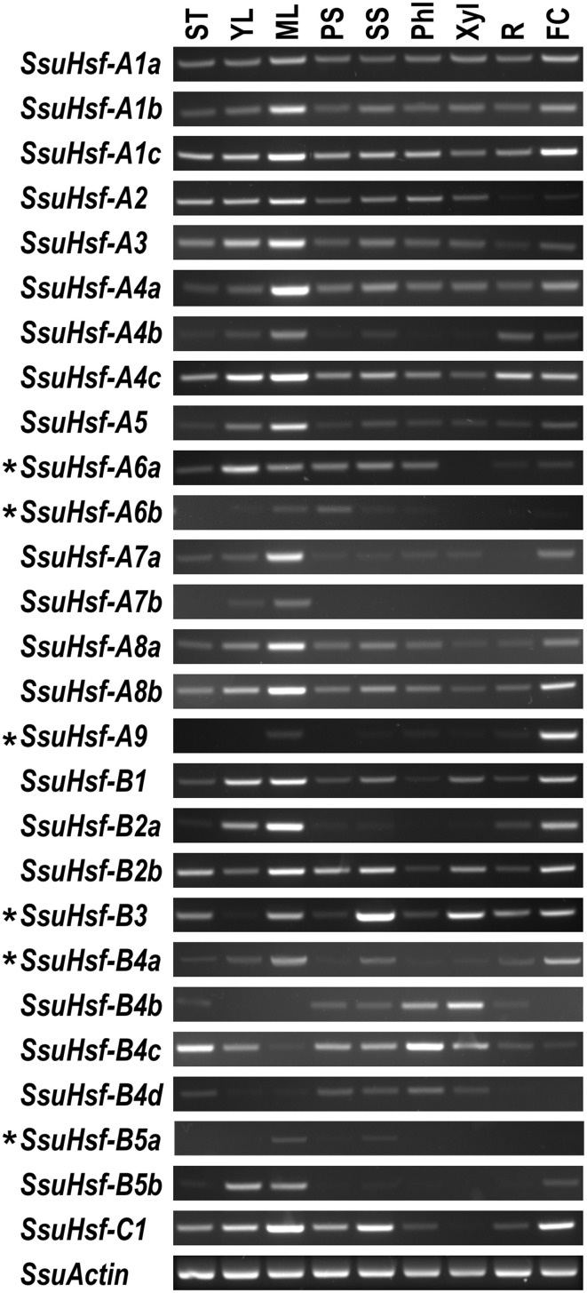 Figure 7