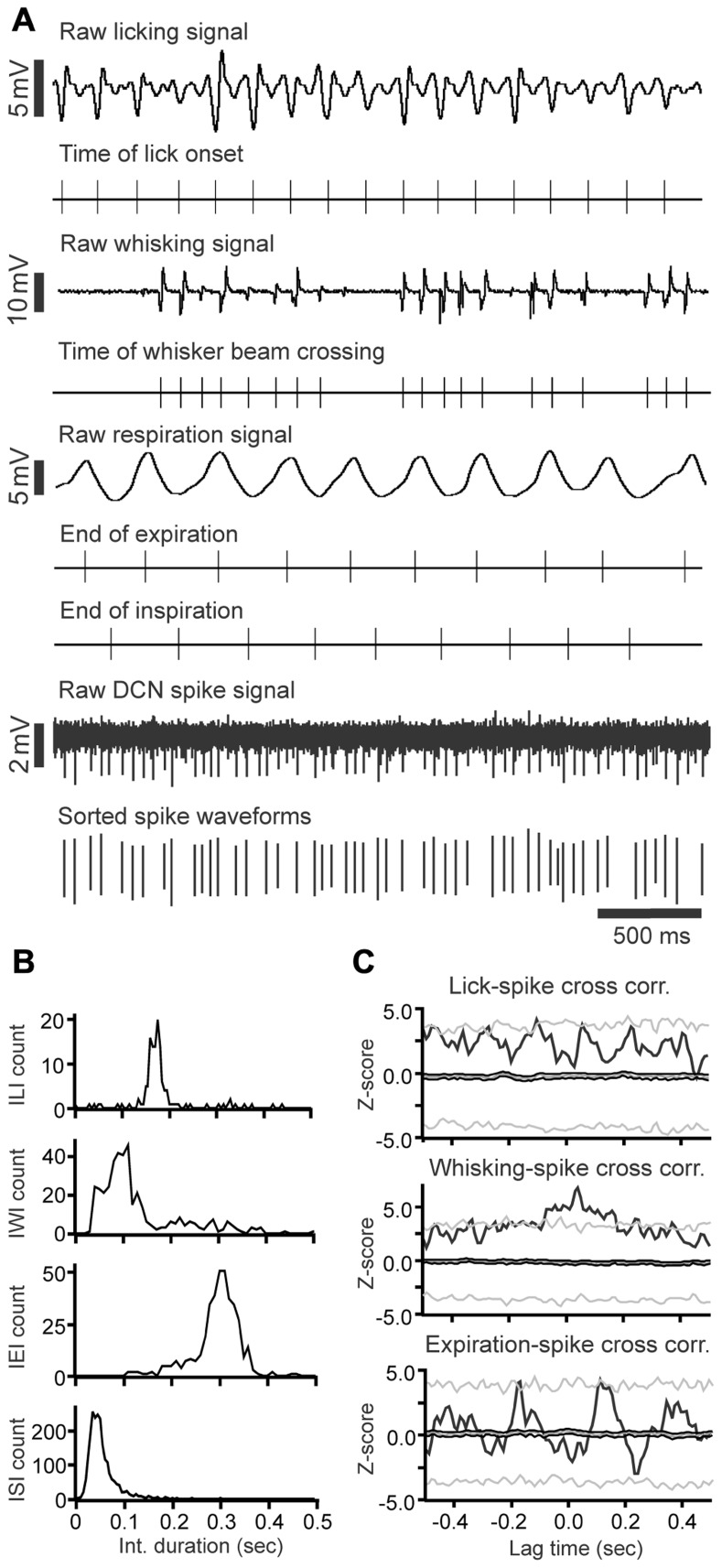 FIGURE 4