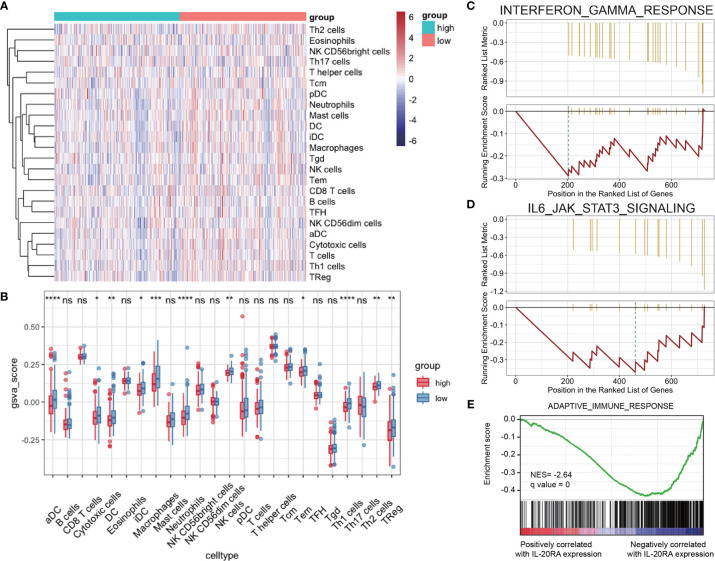 Figure 6