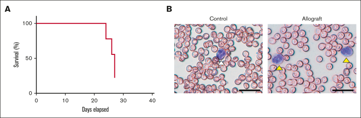 Figure 2.