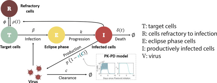 Fig 1.