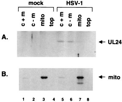 FIG. 5.