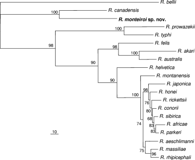 Fig. 2.