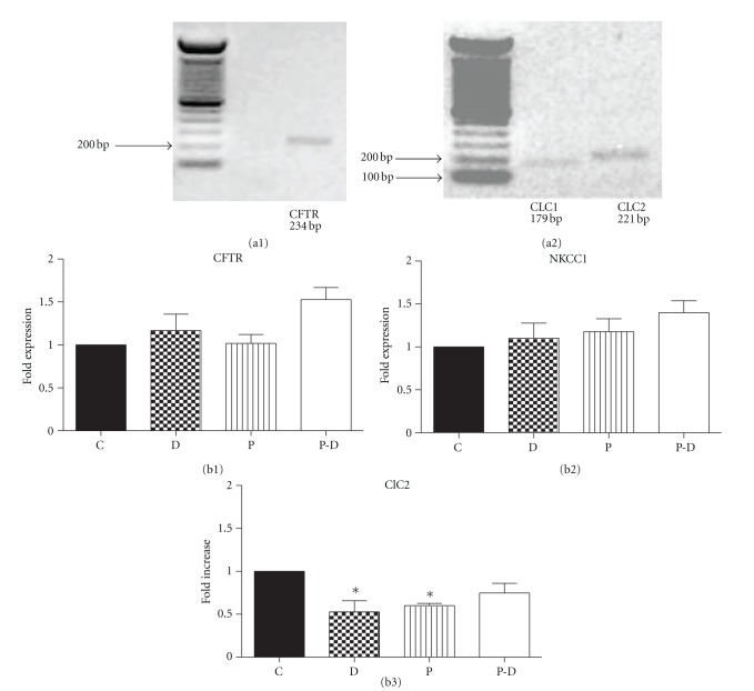 Figure 5