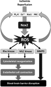 FIG. 2.
