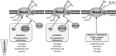 FIG. 1.