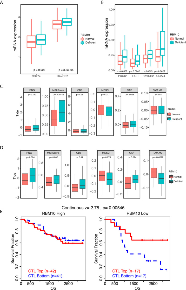 Figure 6