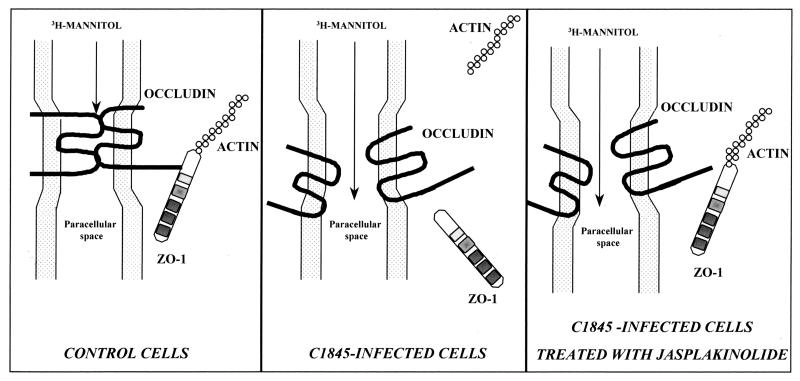 FIG. 7