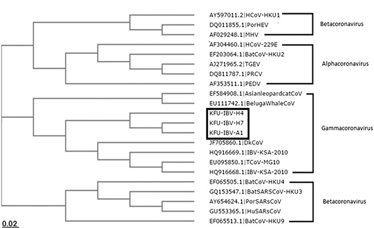 Fig. 7