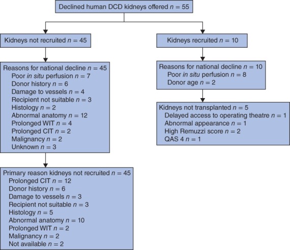 BJS-10733-FIG-0001-c