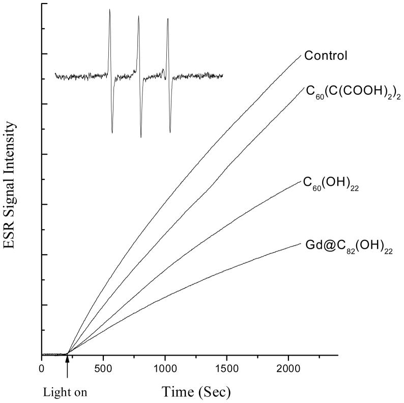 Fig. 6