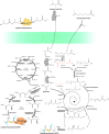 Figure 12.