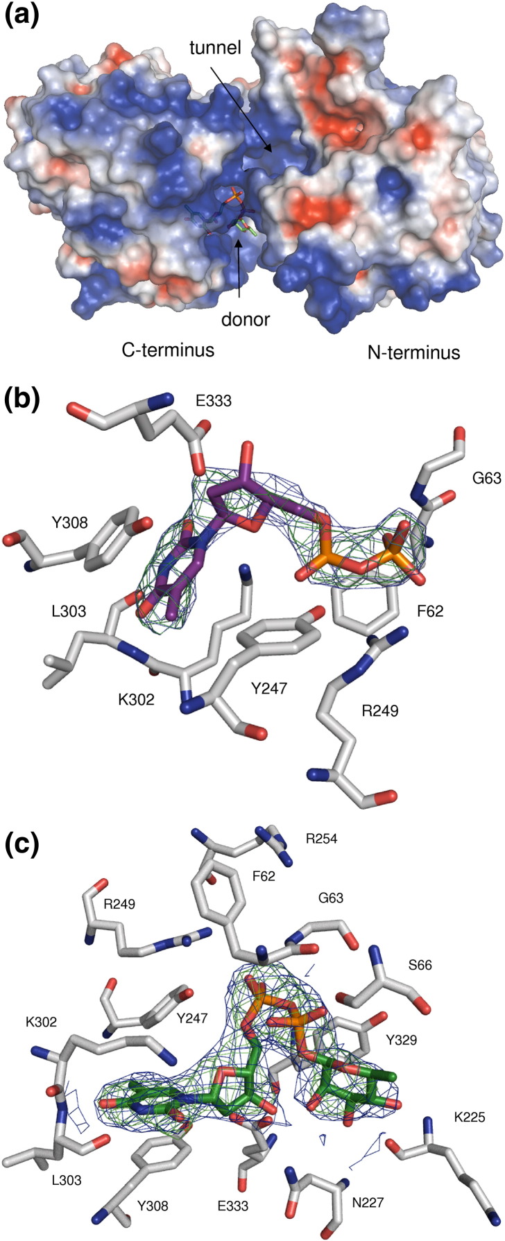 Fig. 3