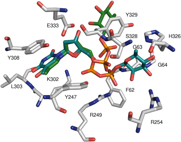 Fig. 6