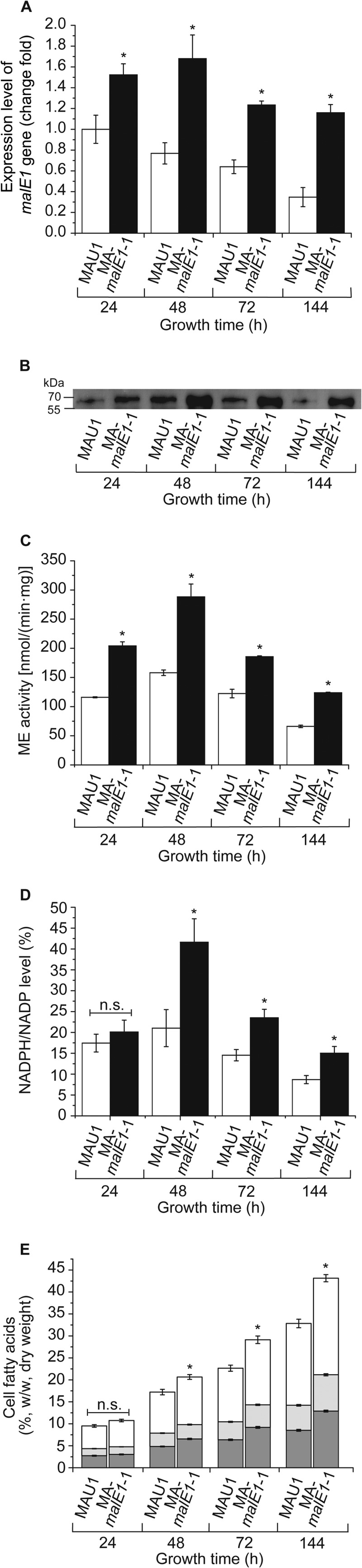 FIG 3