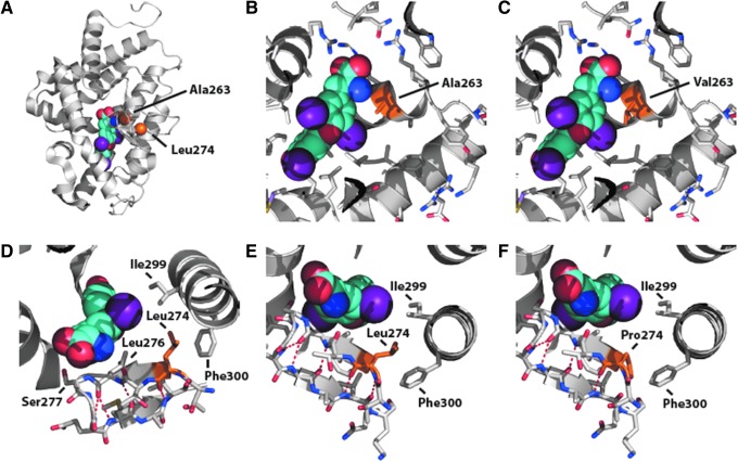 FIG. 6.