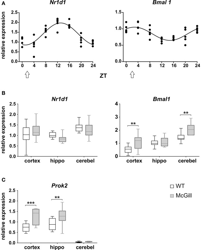 Figure 14