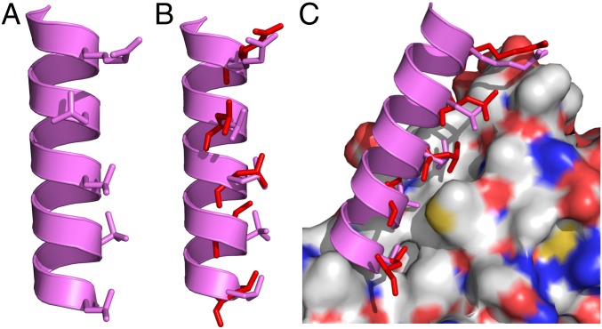 Fig. 4.