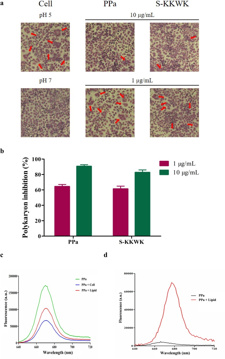 Fig. 4