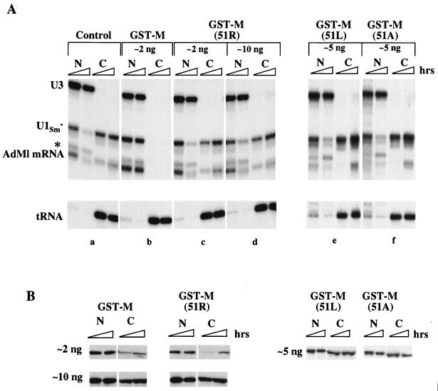 FIG. 6