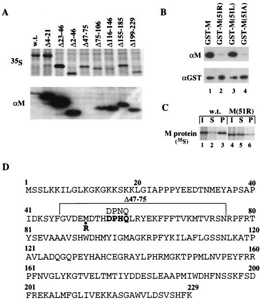 FIG. 5